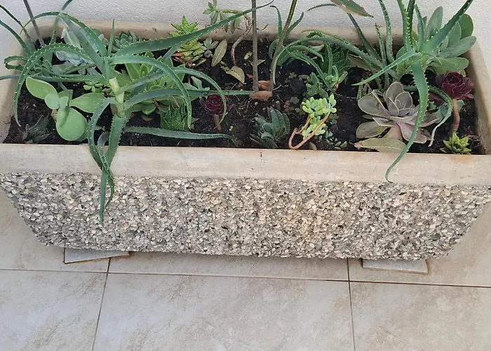 Erca דירה